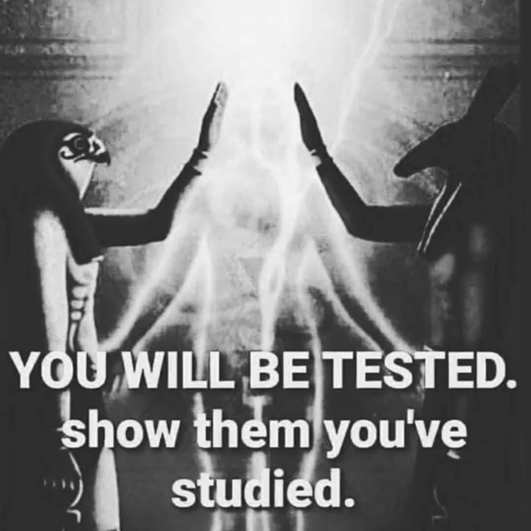 Awakenthyself33's tweet image. ‼️‼️‼️