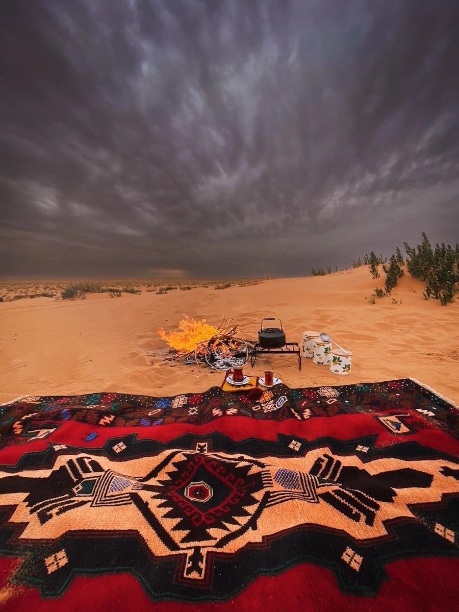 طلعة البر لها طعم خاص.. هواء نقي، سماء صافية، وجلسة تشيل عنك هموم الدنيا.
البرّ هنا موطن اللمة والوناسة 🔥⛺🇸🇦