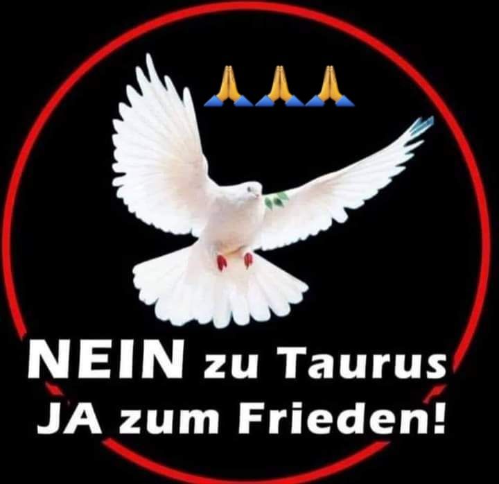 Schluss mit Euren perversen Spielchen!!!
<a href="/realDonaldTrump/">Donald J. Trump</a> 
<a href="/SecRubio/">Secretary Marco Rubio</a>
<a href="/GenFlynn/">General Mike Flynn</a>
<a href="/elonmusk/">Elon Musk</a>
<a href="/VP/">Vice President JD Vance</a>