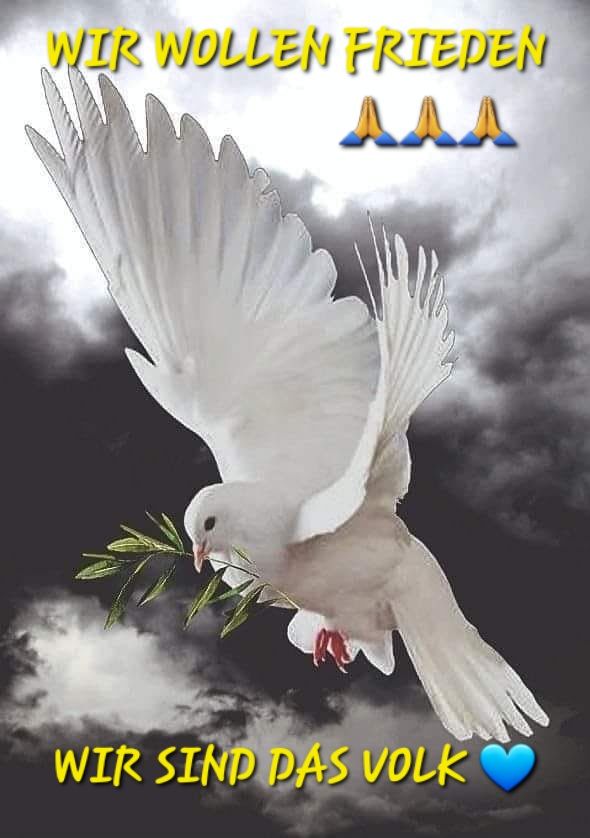 Schluss mit Euren perversen Spielchen!!!
<a href="/realDonaldTrump/">Donald J. Trump</a> 
<a href="/SecRubio/">Secretary Marco Rubio</a>
<a href="/GenFlynn/">General Mike Flynn</a>
<a href="/elonmusk/">Elon Musk</a>
<a href="/VP/">Vice President JD Vance</a>