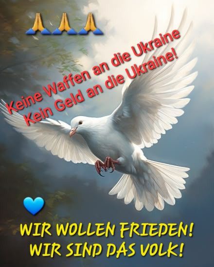 Schluss mit Euren perversen Spielchen!!!
<a href="/realDonaldTrump/">Donald J. Trump</a> 
<a href="/SecRubio/">Secretary Marco Rubio</a>
<a href="/GenFlynn/">General Mike Flynn</a>
<a href="/elonmusk/">Elon Musk</a>
<a href="/VP/">Vice President JD Vance</a>