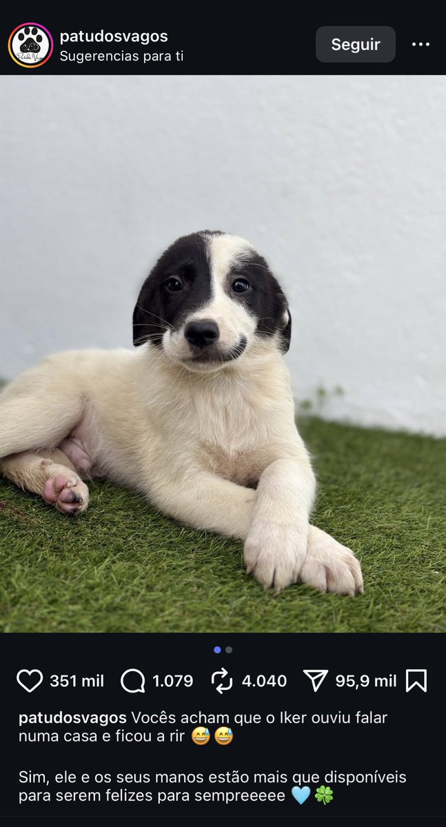 isntcarolina's tweet image. primero como se van a llamar patudos vagos y segundo como vas a tener esa cara de tipazo ya me haces arrancar el día re bien