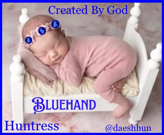 TheHuntres11612's tweet image. #Alllivesmatter 
#ProLife 
#Bluehand