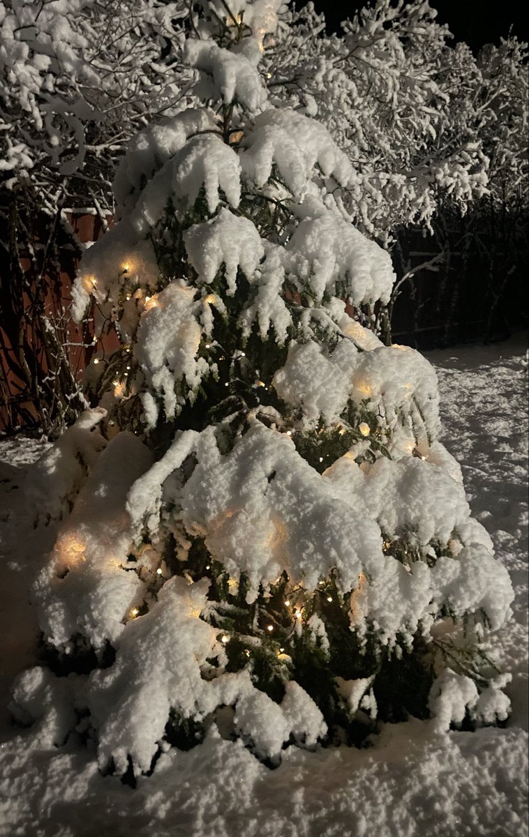 pinecanvasblog's tweet image. So 
This
Happened