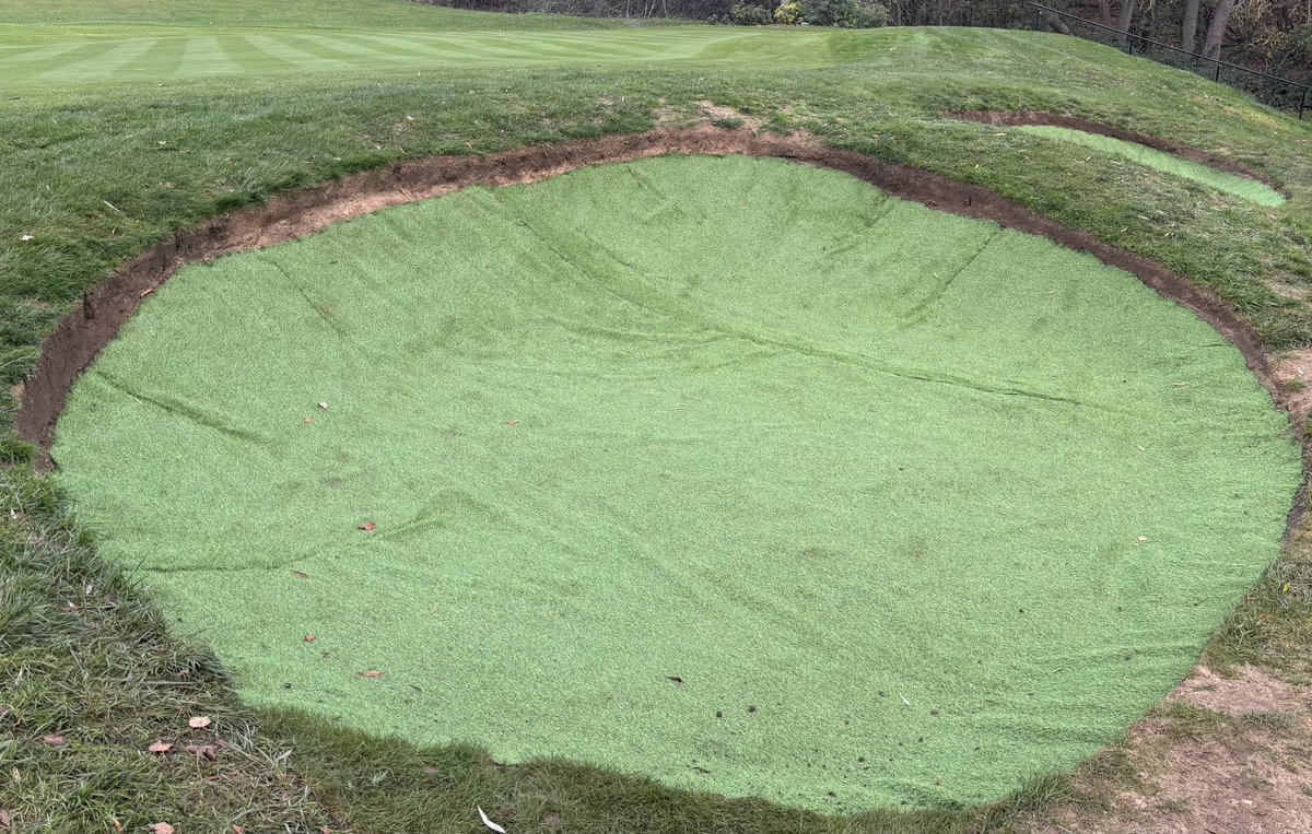 Nath Davis tweet media