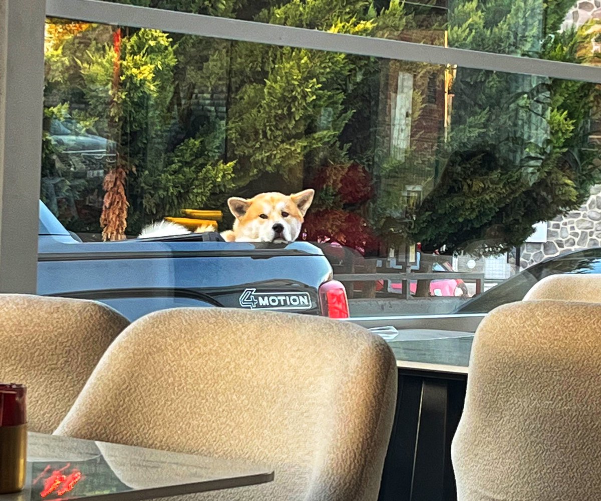 Bana da senin gibi 😅