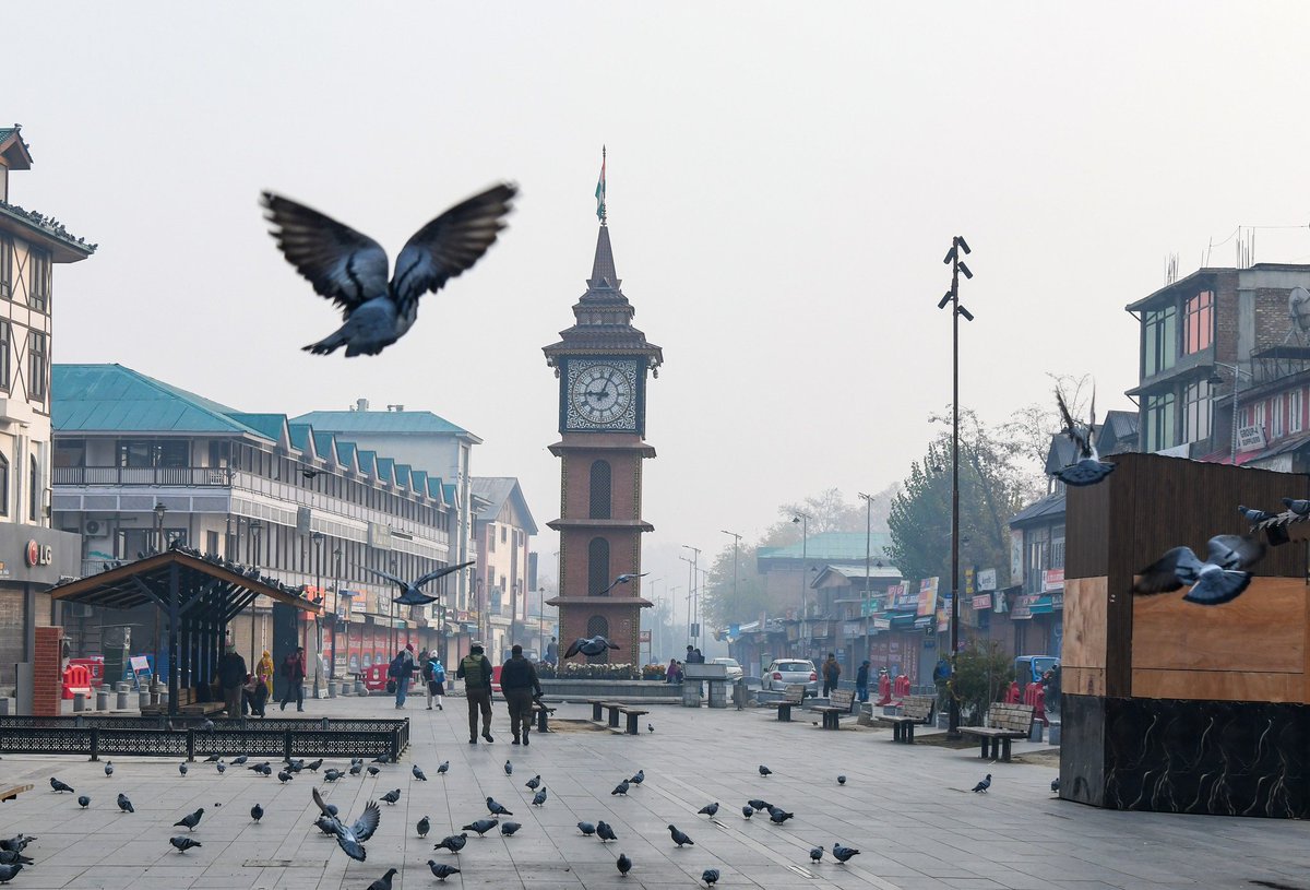 A flock of pigeons takes flight over Srinagar’s Lal Chowk during a winter morning