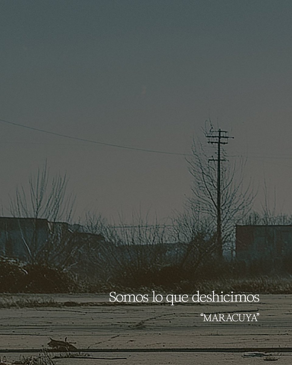 BABASONICOS tweet media