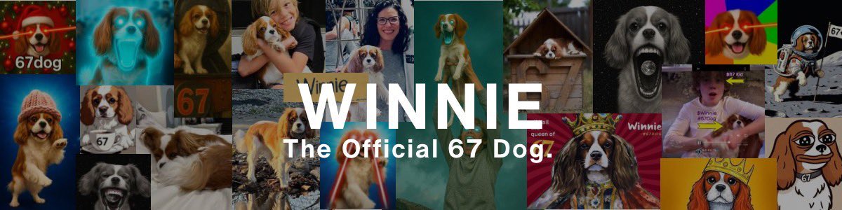 XRPHolder4's tweet photo. Here you have the dog of the #67kid called $winnie
Unnoticed at 50k mc. OG and confirmed name by his mom on Instagram.
Matter of time before this go will go crazy.
#Alpha #Frontrun #100x https://t.co/fCd5Wtln8s