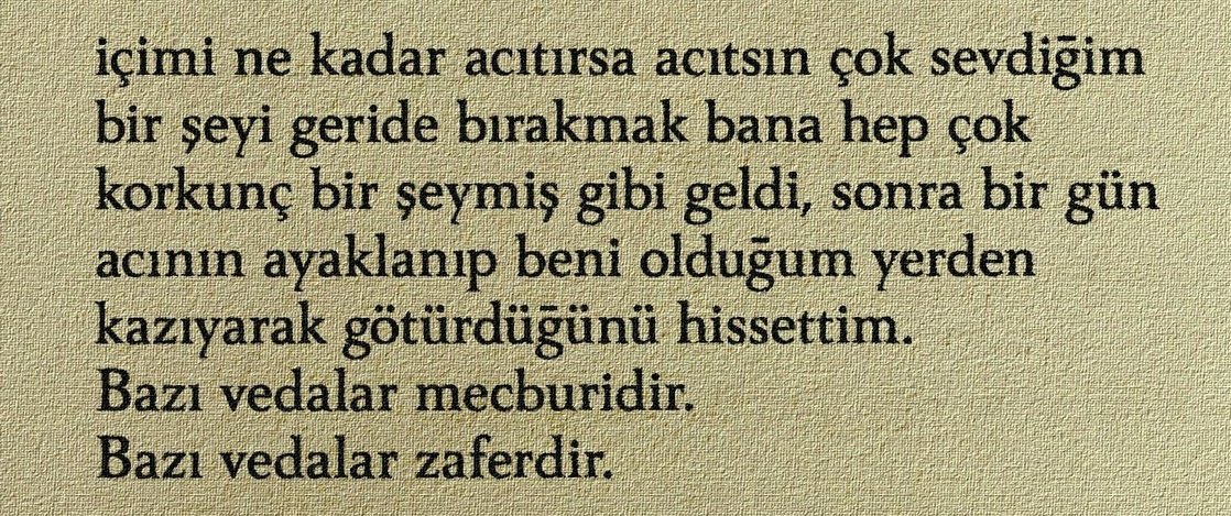 ardiskusu's tweet image. 