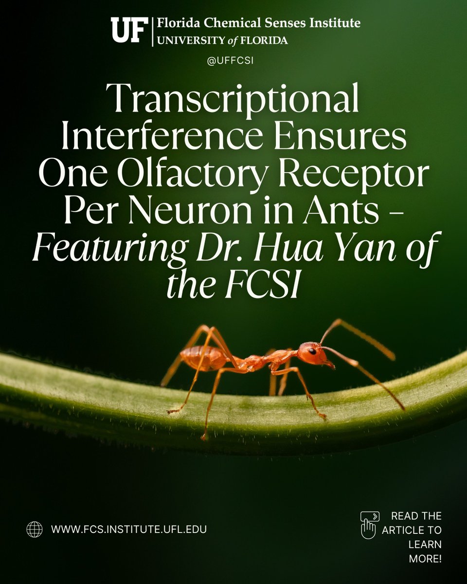 UF Florida Chemical Senses Institute tweet media