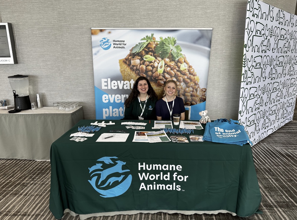 Forward Food tweet media