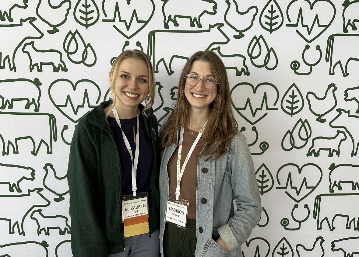 Forward Food tweet media