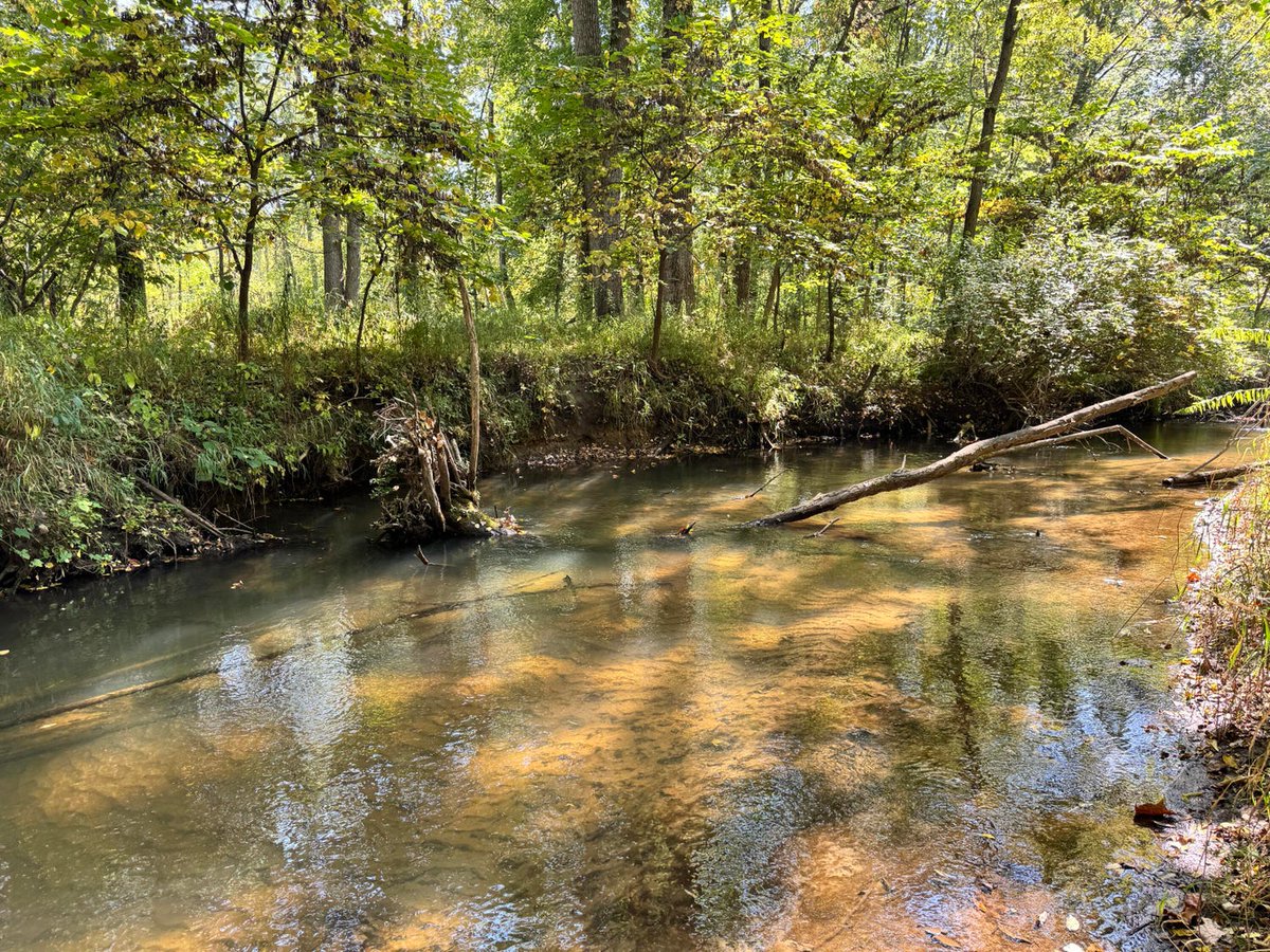 MIoutdoorProprt's tweet photo. Price Reduced on our 163-acre property in Allegan County:  https://t.co/DdCPneh71v https://t.co/QMHdfCb68L