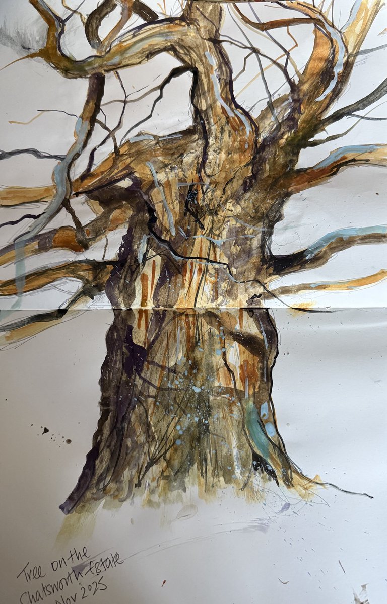 staithesartist's tweet image. #Tree on the #ChatsworthEstate #watercolour #Pith #sketchbook