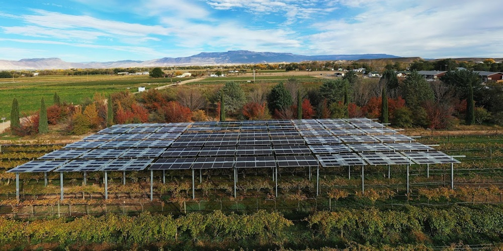 Crop prioritization” agrivoltaics, AI vs the data deluge, and an evolving tracker from Solargik dlvr.it/TPLxvd #SolarEnergy #USEnergy #EnergyStorage