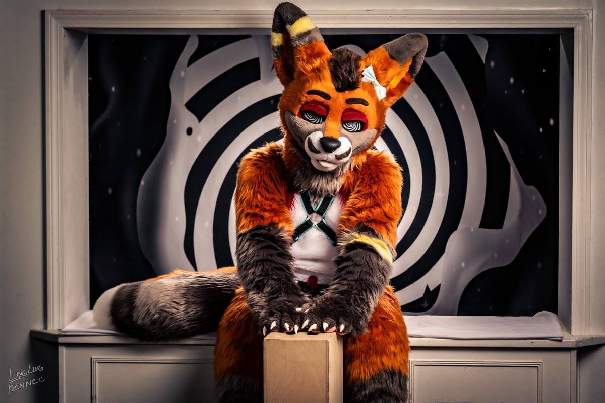 SvenFennec's tweet image. Tweats Please!!! Gib Fox Tweats🦊🎀💕
📸: linglingfennec on bsky social 
🧵: @Roofur Suits
#fursuitanyday #Fursuit #FurryFandom