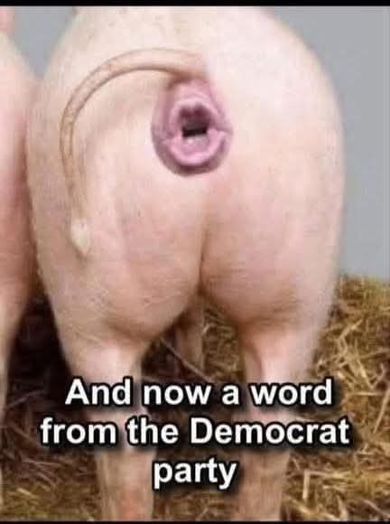 Mojo Bronson ✝ 🇺🇲 #🟦 tweet media