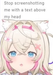 VTuber Memes (@vtubermemes) on Twitter photo 