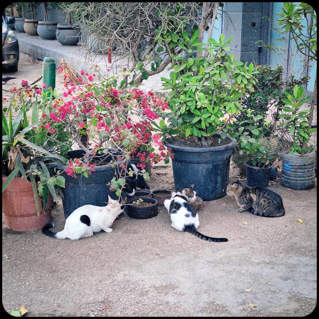 PaulHumee's tweet image. 