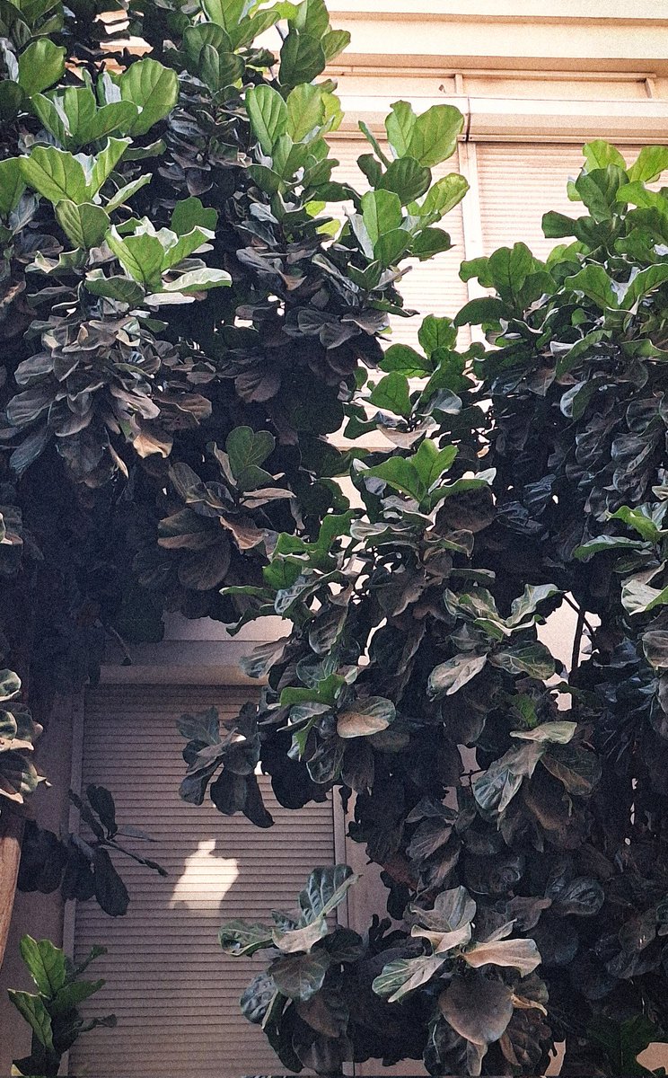 PaulHumee's tweet image. 