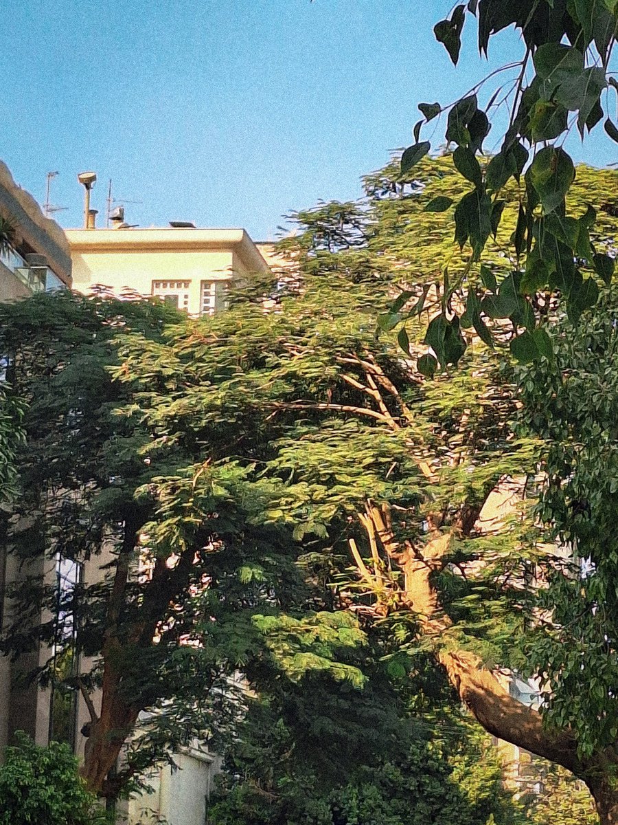 PaulHumee's tweet image. 