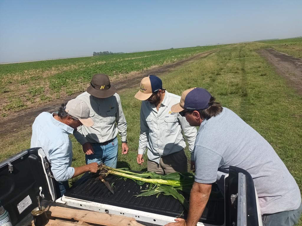 Ignacio Guggeri tweet media