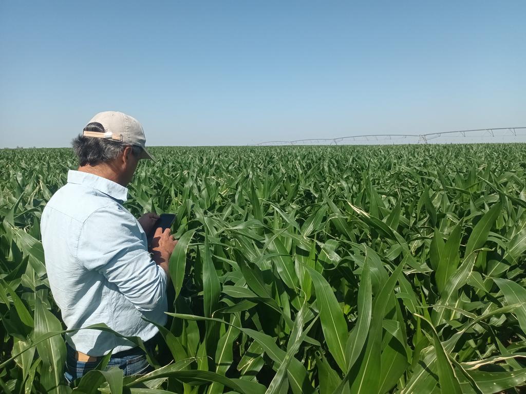 Ignacio Guggeri tweet media