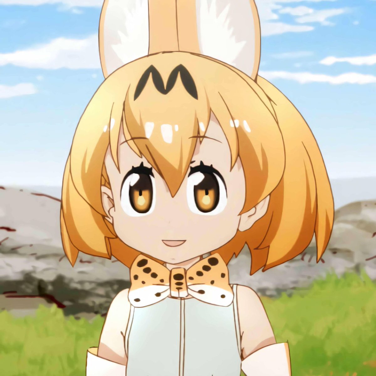 Serval_face_'s tweet photo. Serval face day 1497 https://t.co/60N0MdDVjw