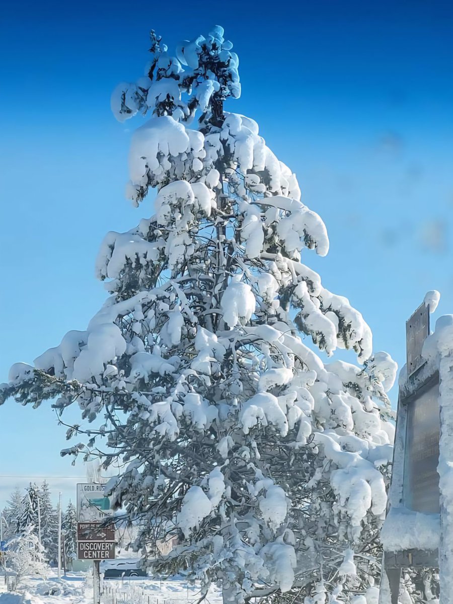 RaineyOneDark's tweet image. My beautiful #Idahome in September vs February🤣 I love it! 4 actual seasons, not just different versions of summer 4 times a ye like Southern Cali....or Florida🤣