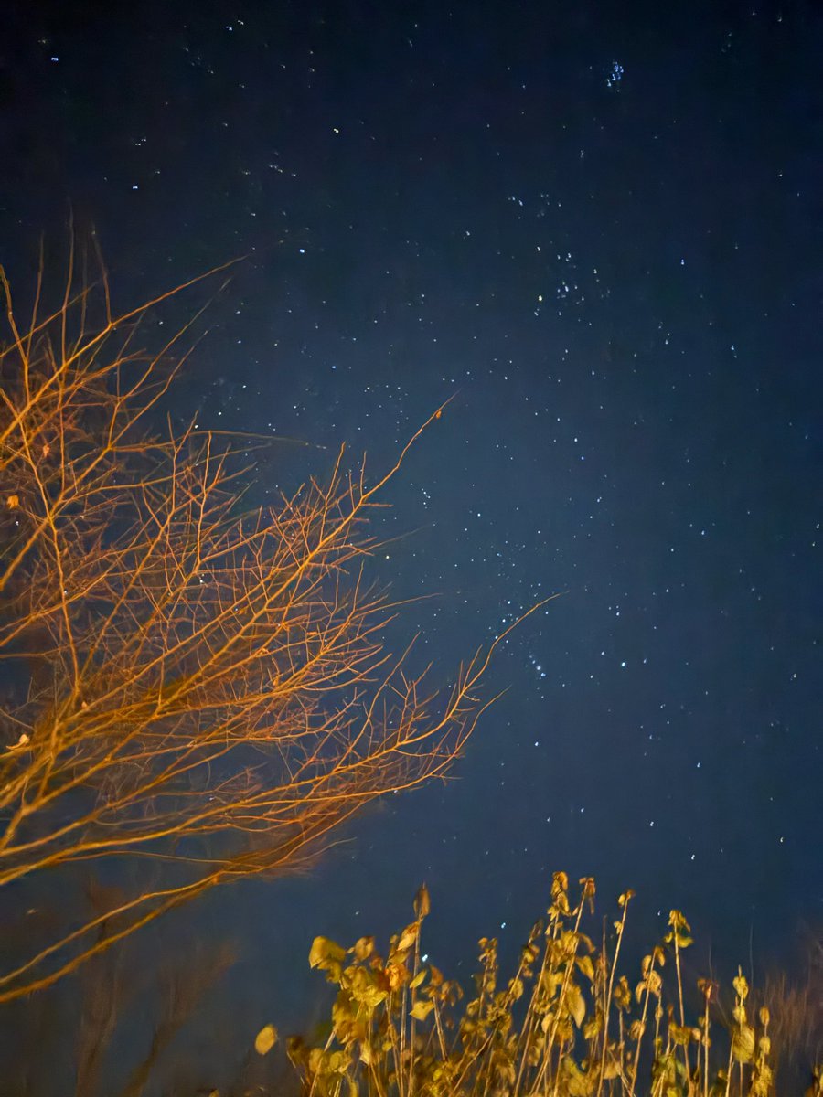 86fromms's tweet photo. [251120] 🐯💭 | 12:09AM KST

Our Annies are floating in the sky.
It’s so cold in Korea right now!!! https://t.co/jSBALdgIWu