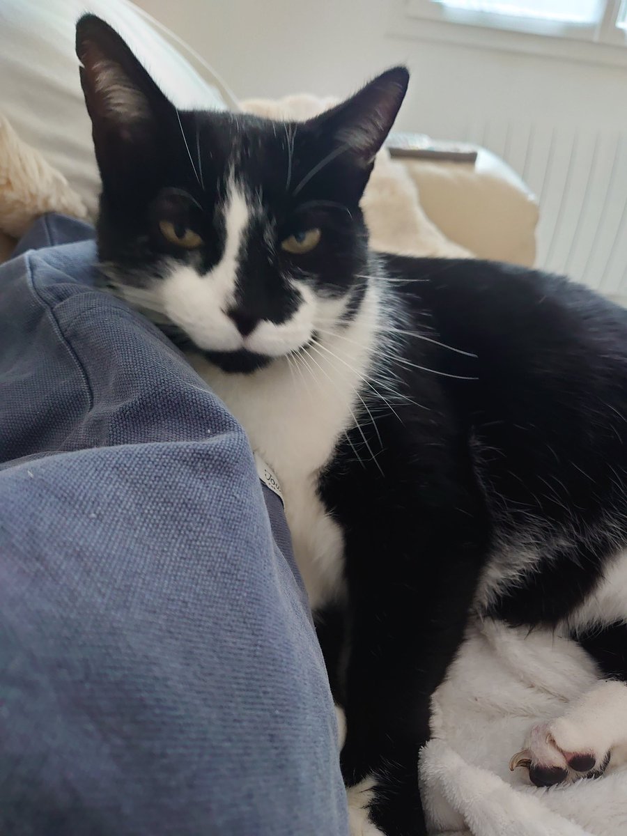 Mathilde Petit tweet media