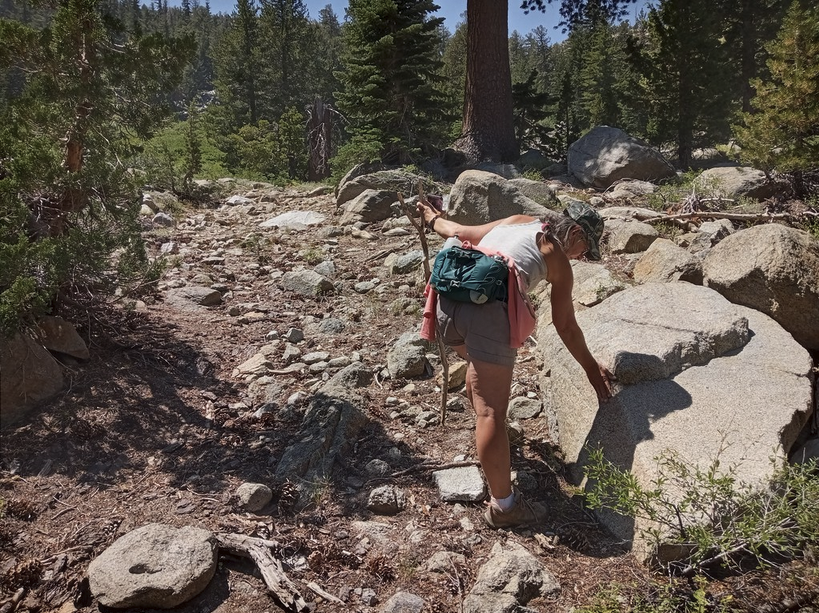 Adventures in California History tweet media