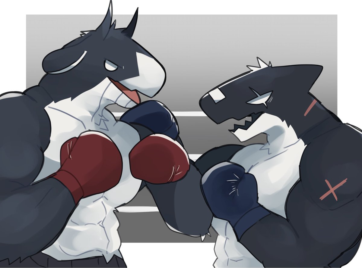 🥊🐳🥊👁️‍🗨️