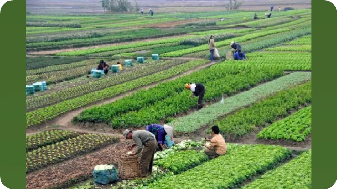 Elcat5's tweet image. This image says it all 🌿
It starts with you. Make a difference.

View the post 👉 app.ecox.network/community/post…
Earn GREEN on ECOX Network while you act:
app.ecox.network/register?refCo…

#ECOX #GREEN #ECO_TO_EARN