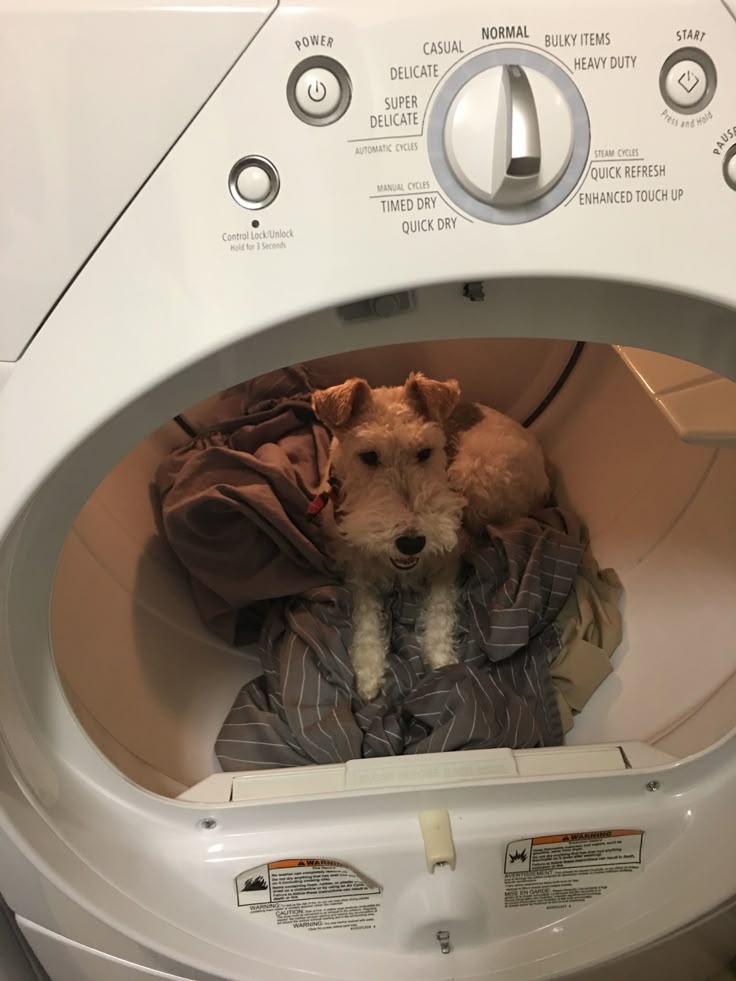 Rumplepimple1's tweet image. #WhenINeedTimeForMyself I FIND A PLACE THAT&apos;S WARM TO CHILL.