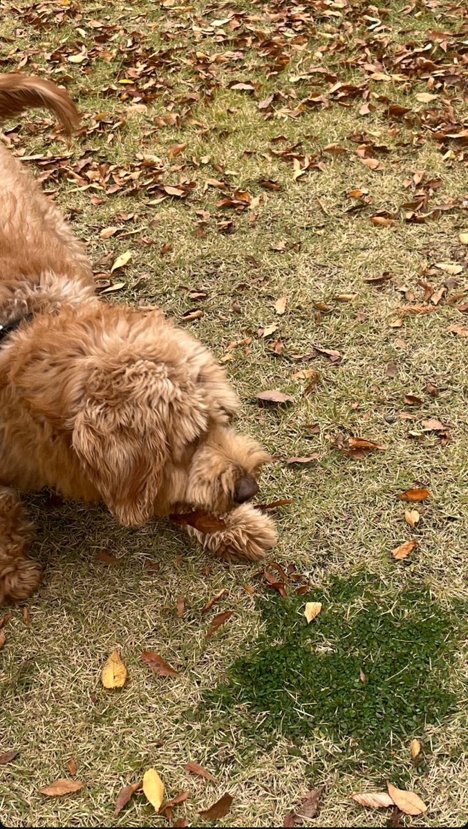 digksus's tweet image. 가을이 왔는데 왜 겨울이냐