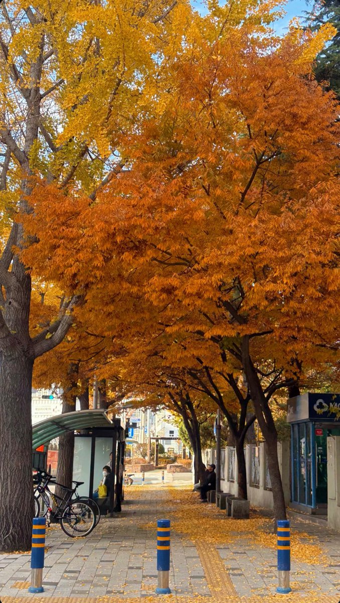 digksus's tweet image. 가을이 왔는데 왜 겨울이냐