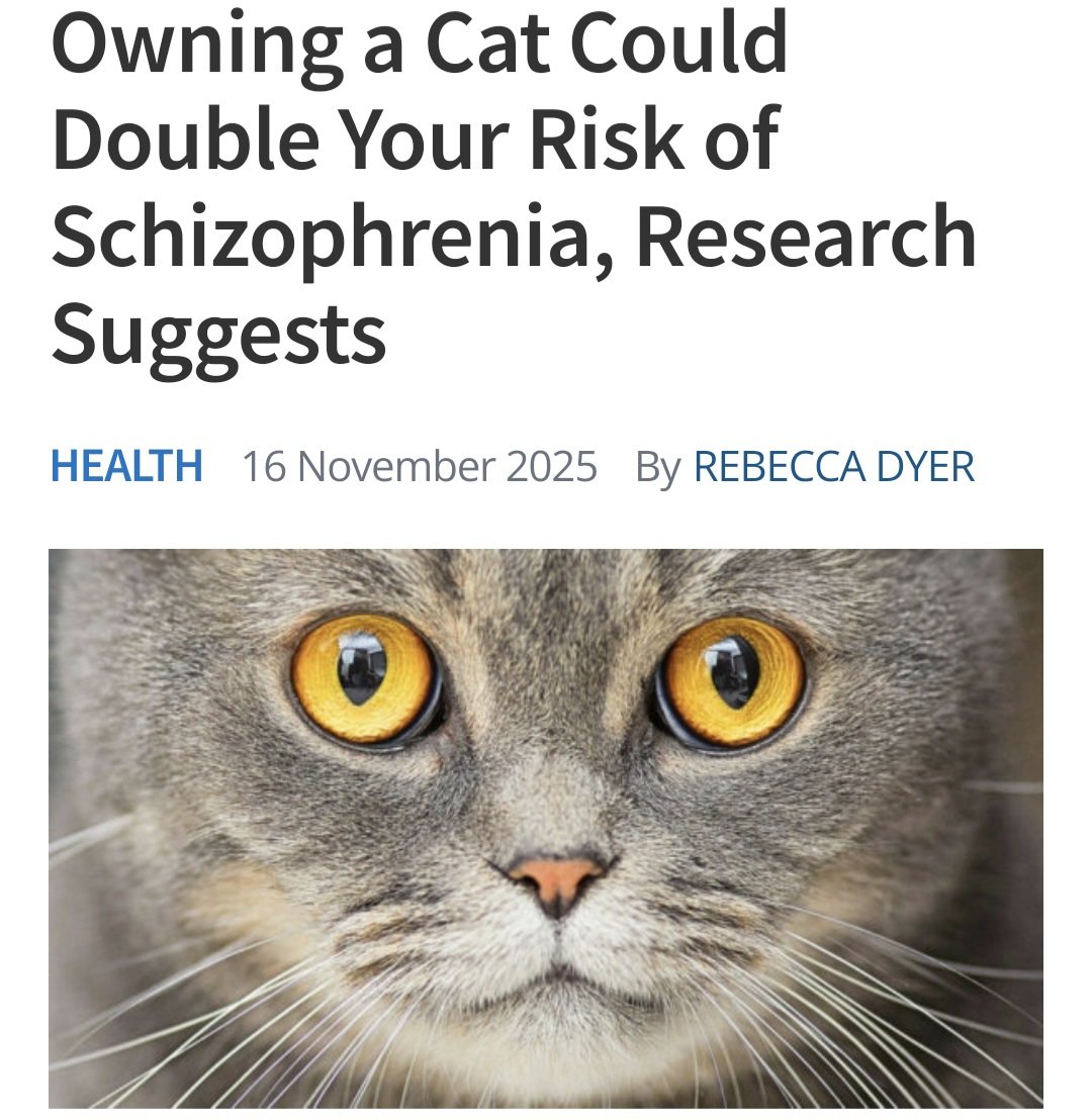 birgit2021's tweet image. Is echt onzin want toen ik het aan  mezelf navroeg moesten we hier alle zes heel erg om lachen.