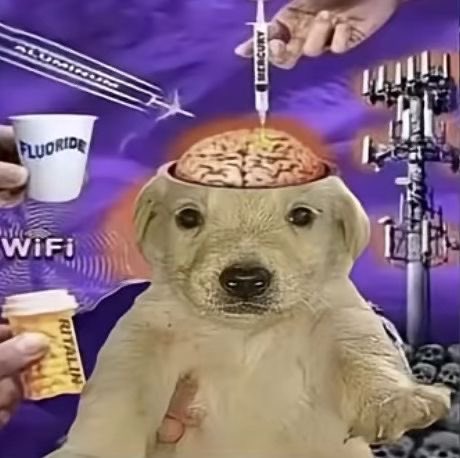 stonerexic_j's tweet image. Woke up and immediately went to twitter