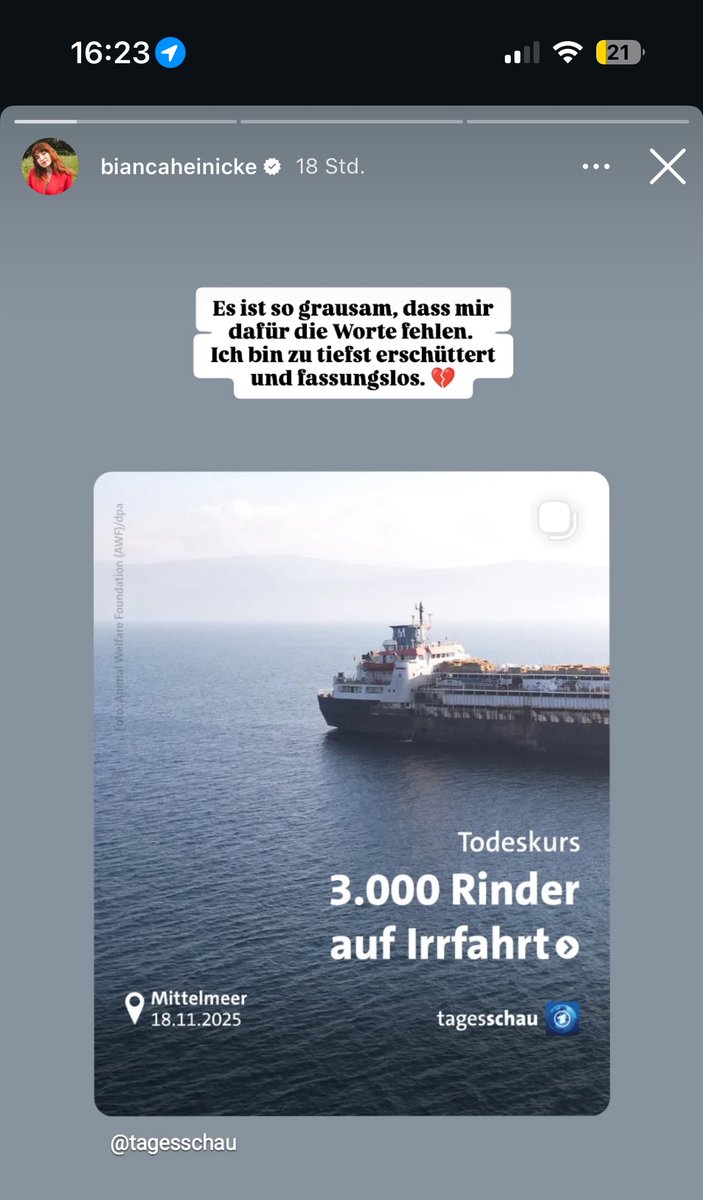 phteffi (club mate fan n°1) tweet media