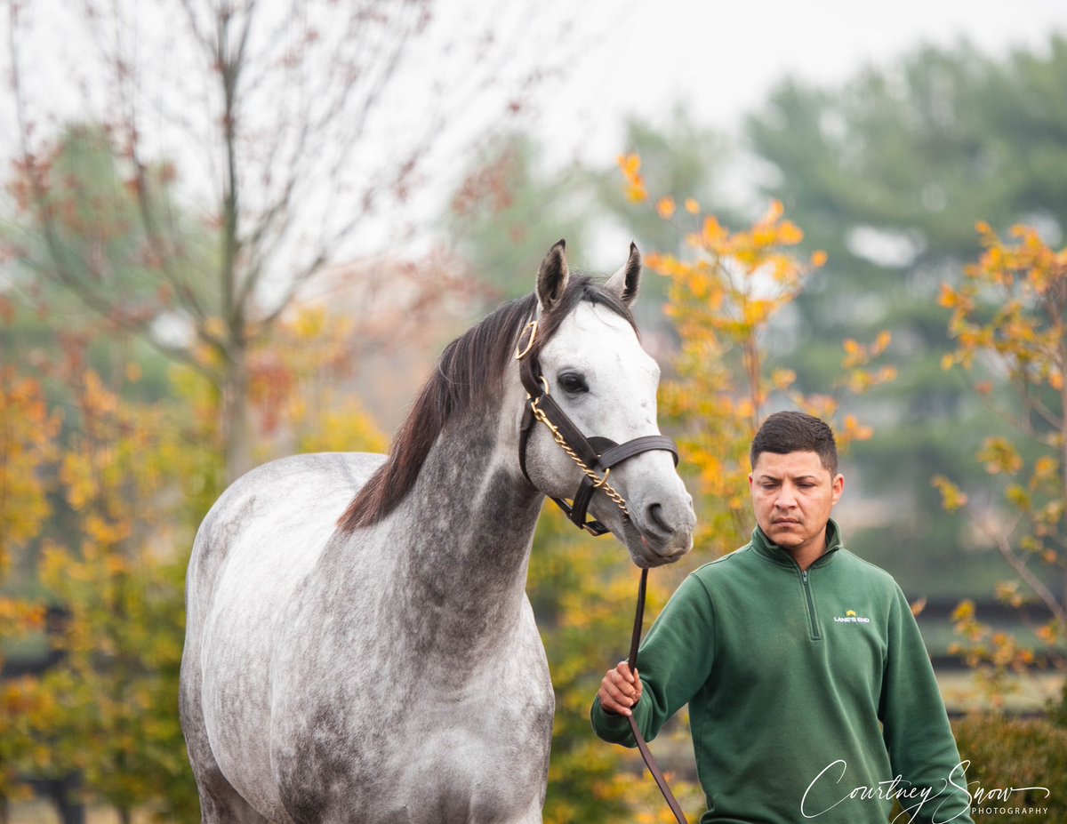 Courtney Snow tweet media