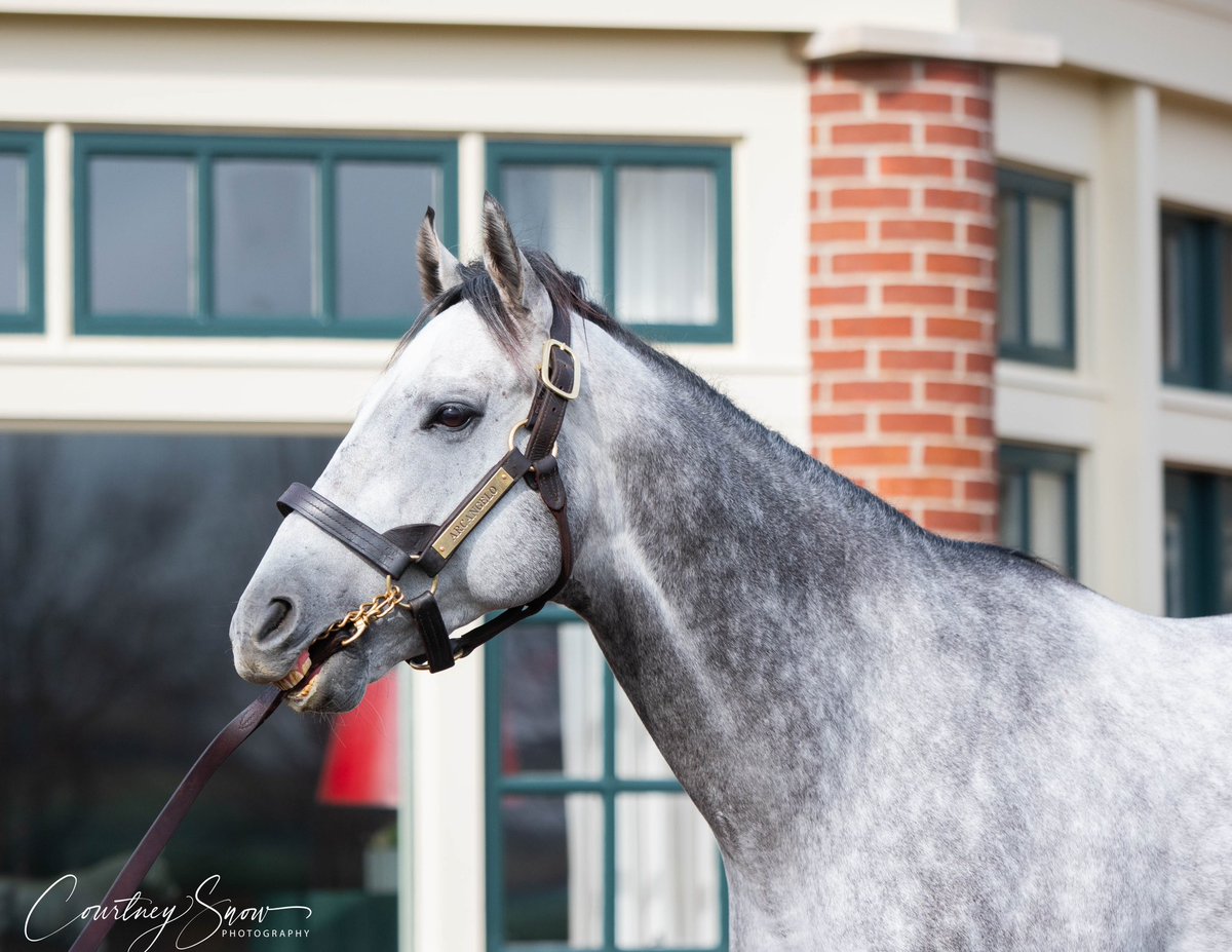 Courtney Snow tweet media