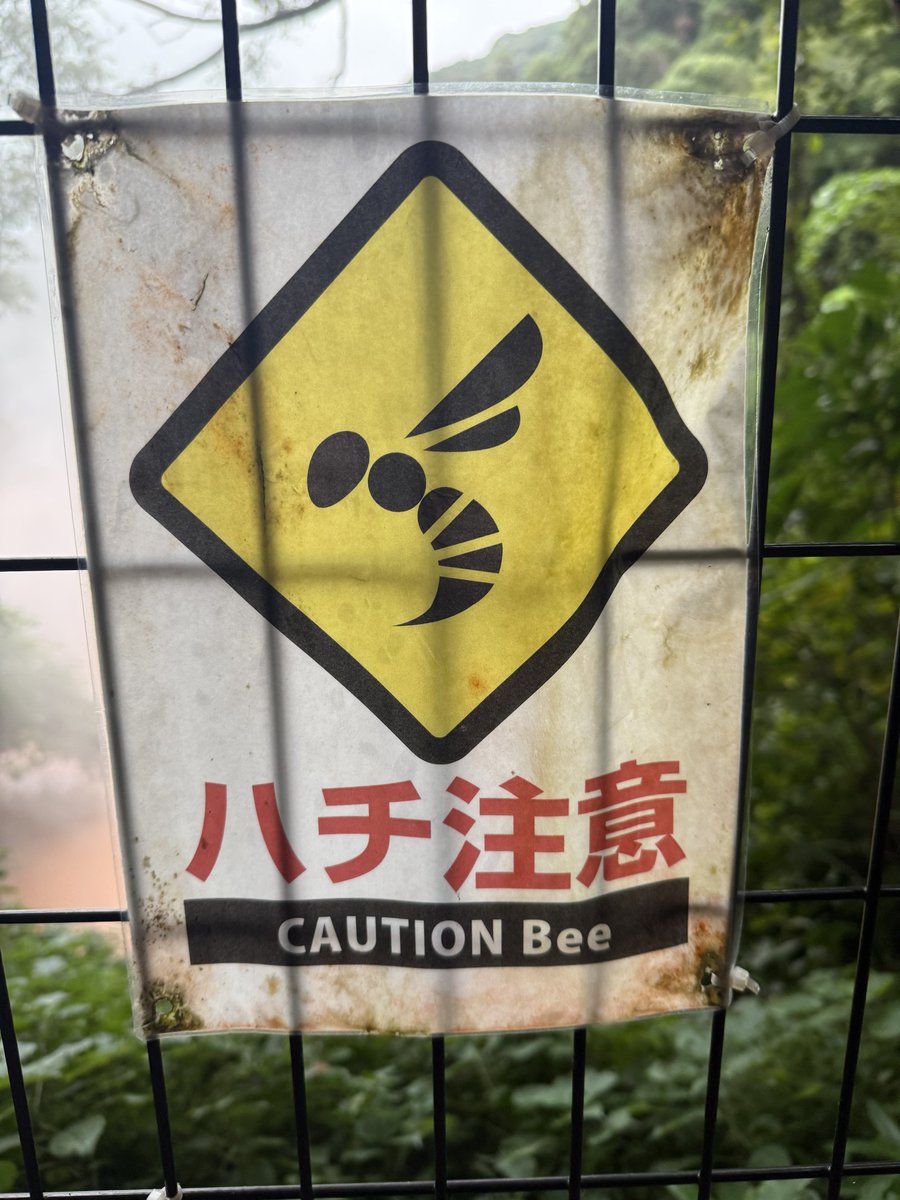 Michael Grönert tweet media