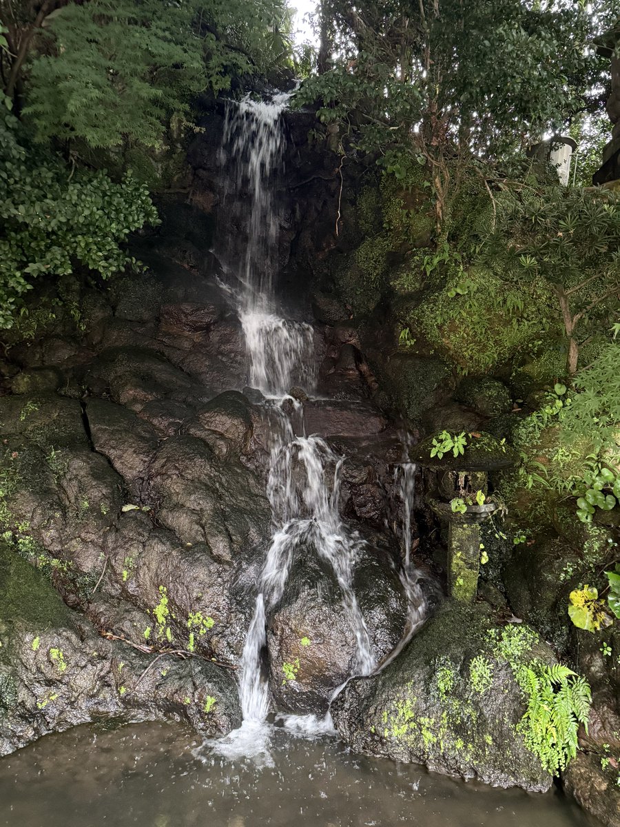 Michael Grönert tweet media