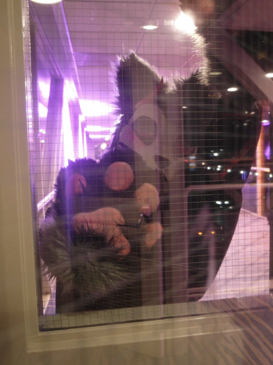 Would you let him in?