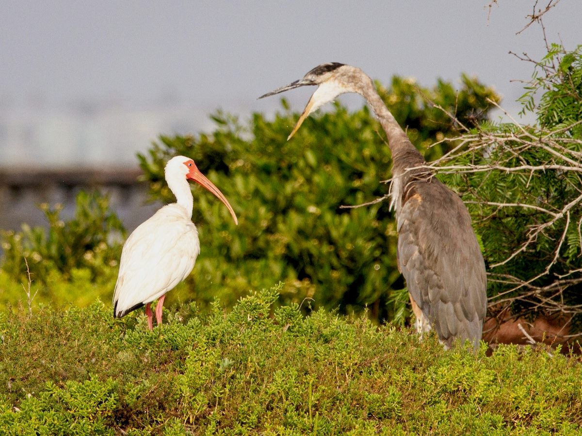 GetReworked's tweet image. How to Encourage Team Collaboration Despite Dominant Voices reworked.co/collaboration-… #TeamCollaboration #Leadership