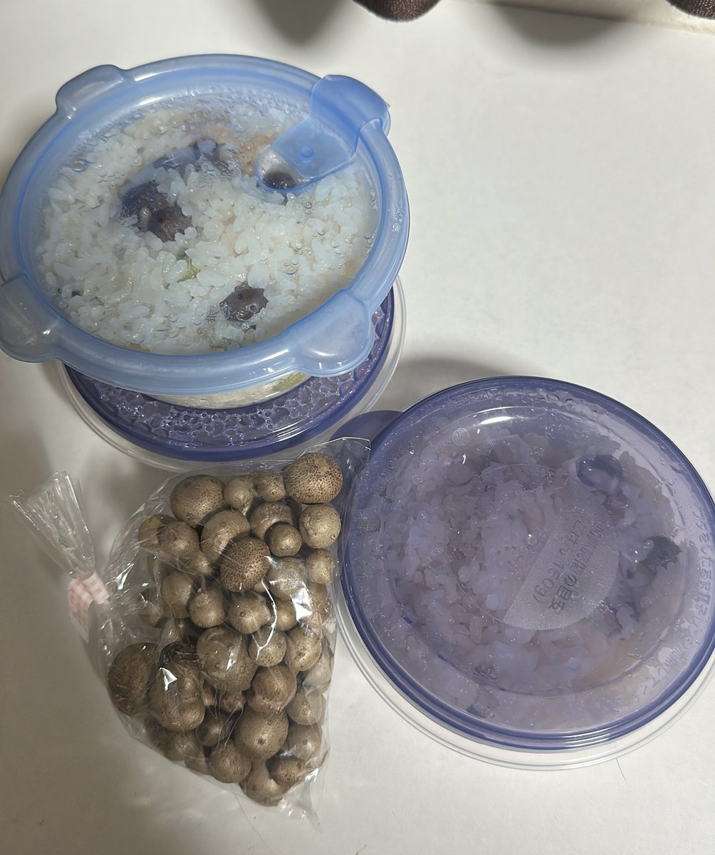 奈良のコンビニで買った むかごを炊き込みご飯にして幸せなのです。
買い占めてきたのでもう1回炊けるのです✨️✨️