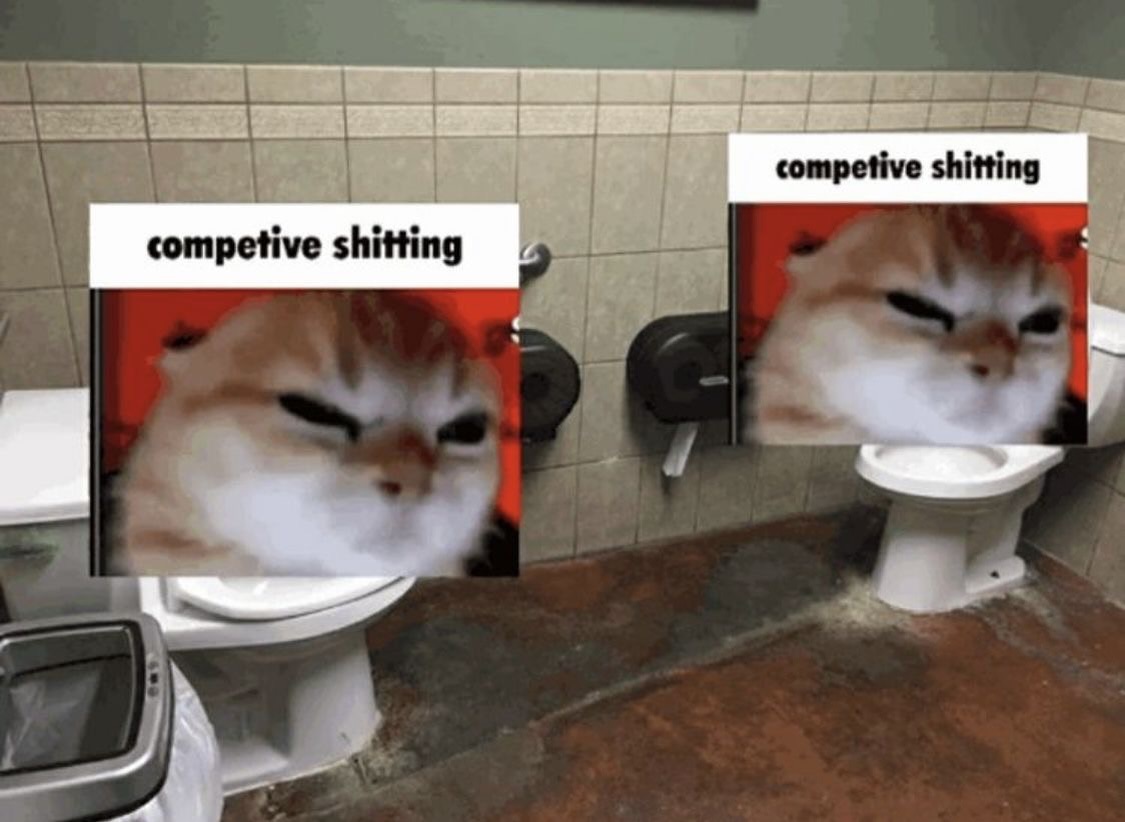 PunchingCat's tweet image. 