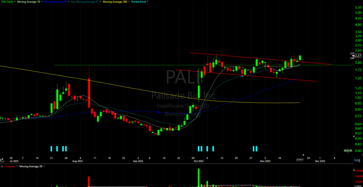 Shack_SI's tweet photo. $PALI Here is some #MicroFun. Flagged at double top high and is seeking continuation. https://t.co/c95tSIm5Fl